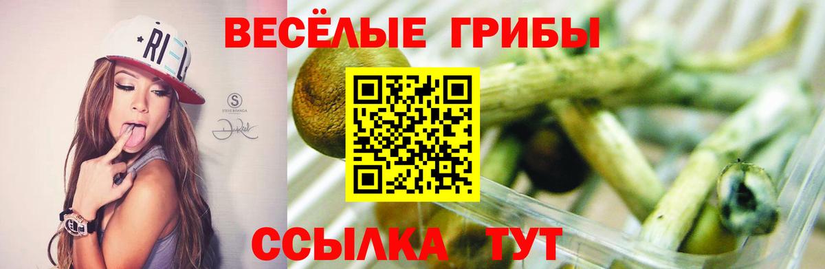 Псилоцибиновые грибы ЛСД  купить   Нижневартовск  Вход с VPN 